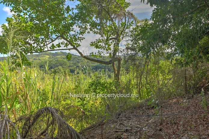Spacious 275 m² house on a land of 13,802.67 m² in Chemin Grenier with sea and mountain views.