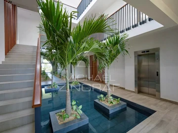 3 Bedroom Apartment