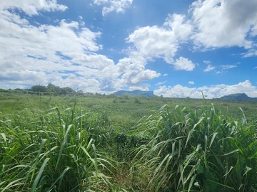 Residential Land