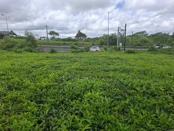 Commercial Land