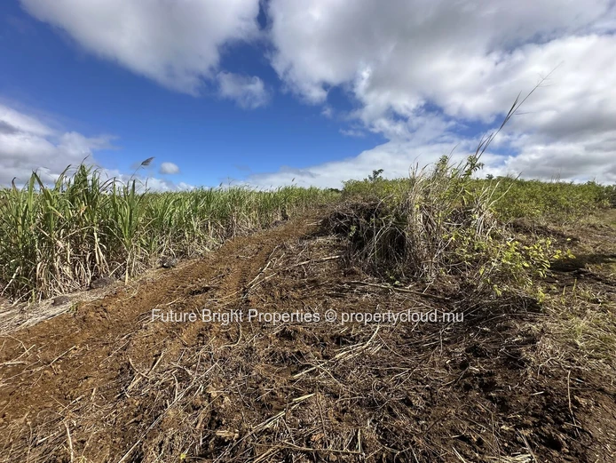 206 perches Agricultural Land for Sale in Providence Quartier Militaire.