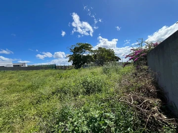 Land