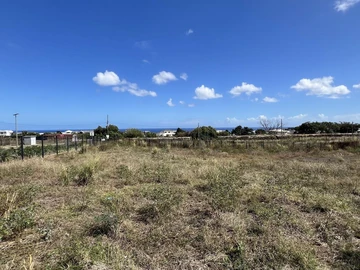 Terrain