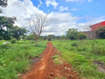 Agricultural Land
