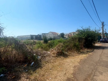 Terrain