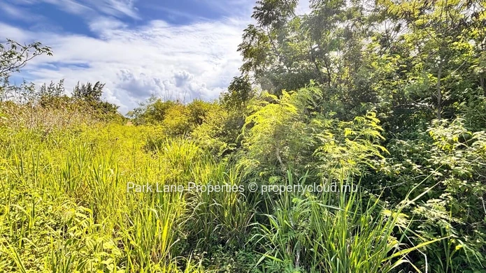 À vendre – Terrain résidentiel de 4 206 m² à Petit Raffray