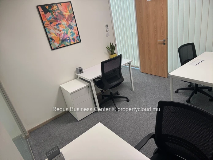 Espace de bureau privé pour 3 personnes à Regus Downtown