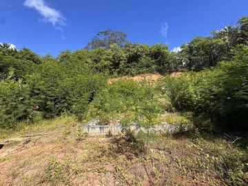 Agricultural Land