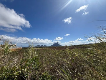 Agricultural Land