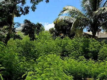 Residential Land