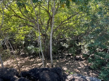 Residential Land