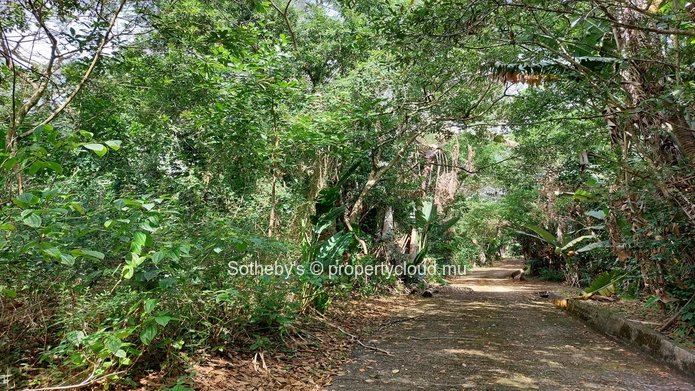 Nature Serenity