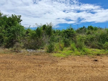 Agricultural Land