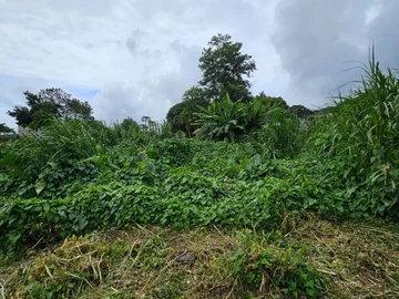 Terrain Résidentiel