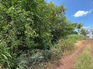 Land
