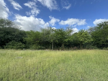 Residential Land