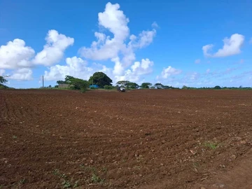 Commercial Land
