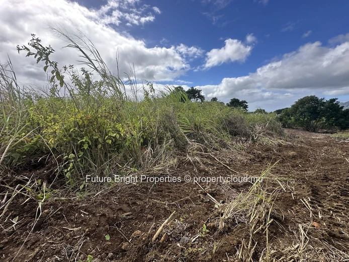 206 perches Agricultural Land for Sale in Providence Quartier Militaire.