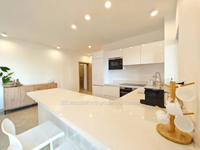 Beachfront Apartment For Rent – Pointe Aux Canonniers - North