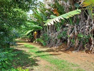 Terrain Agricole