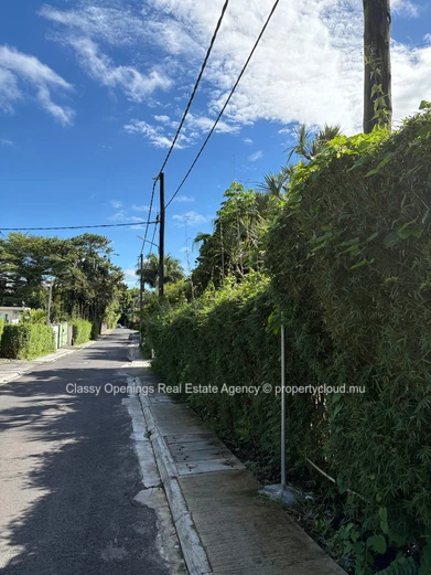 1,015 m² Corner Plot on Quiet Tree-Lined Street, Curepipe