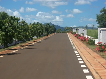 Terrain