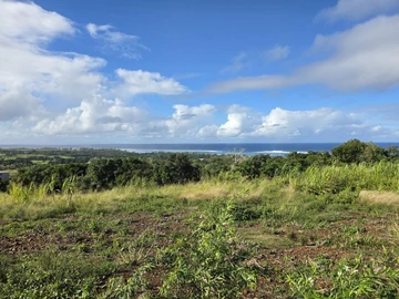 Agricultural Land