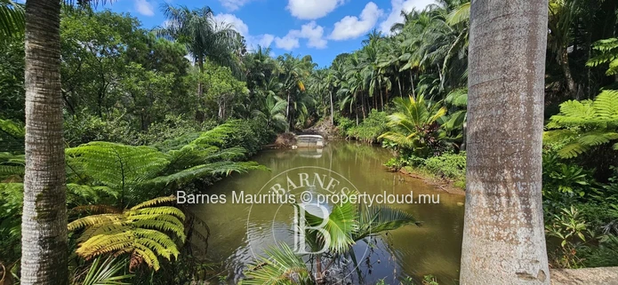 2 Bras - Terrain Agricole - 31 Arpents