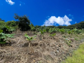 Terrain Agricole