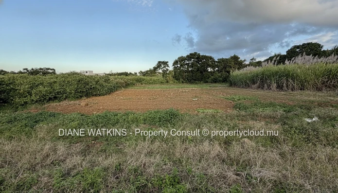 Terrain résidentiel à vendre à Rose Belle, Maurice – 40 perches dans un secteur en plein essor