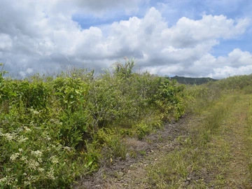 Agricultural Land