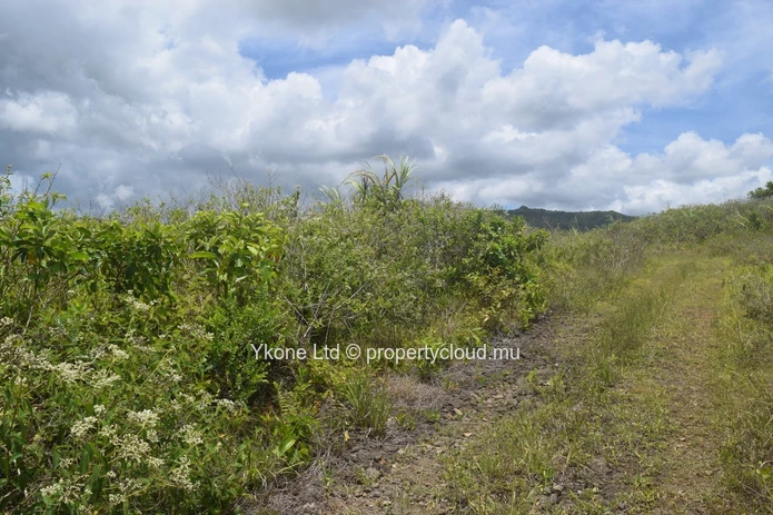 Agricultural Land For Sale In Bois Chéri