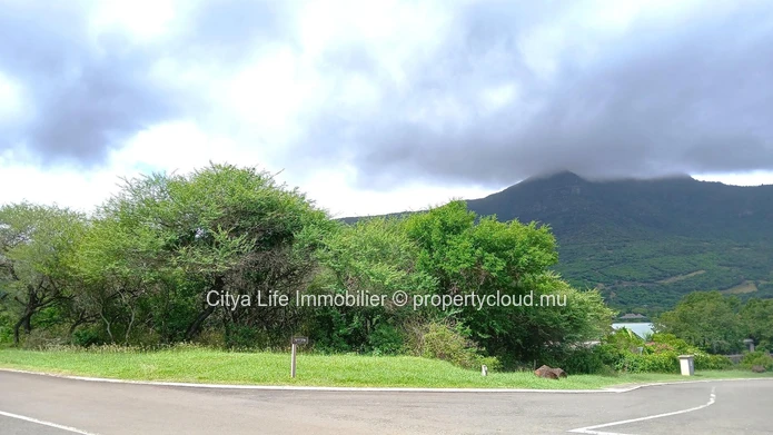 Terrain à Vendre – 2 785m² dans le Domaine de Palmyre