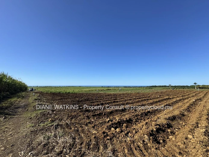 À vendre – Terrain Agricole avec Vue Sur la Mer à Gros Bois