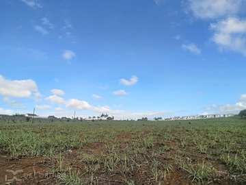 Land