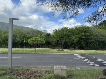 Residential Land