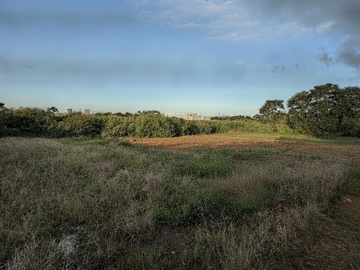 Terrain Résidentiel