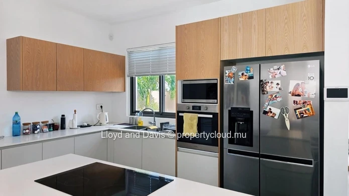 Contemporary Furnished House