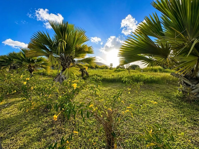 Secure residential land for sale – Pamplemousses, prime location