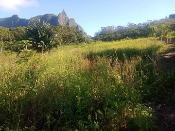Agricultural Land