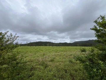 Residential Land