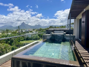 4 Bedroom Penthouse