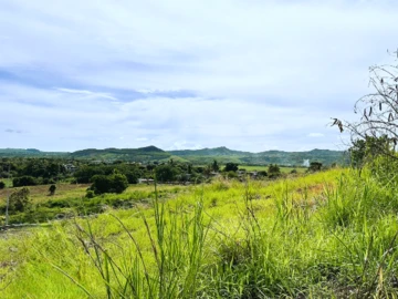 Agricultural Land