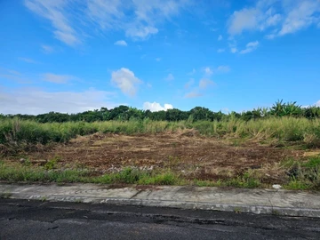 Residential Land