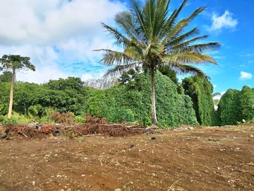 Agricultural Land