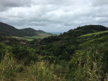 Agricultural Land