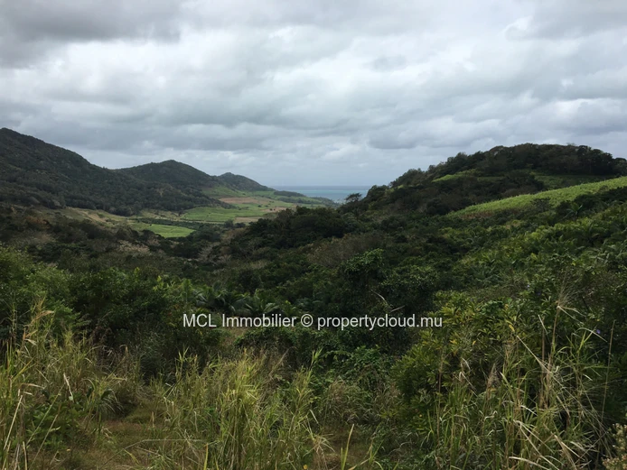 Terrain agricole de 9 arpents 42 perches  à Anse Jonchée