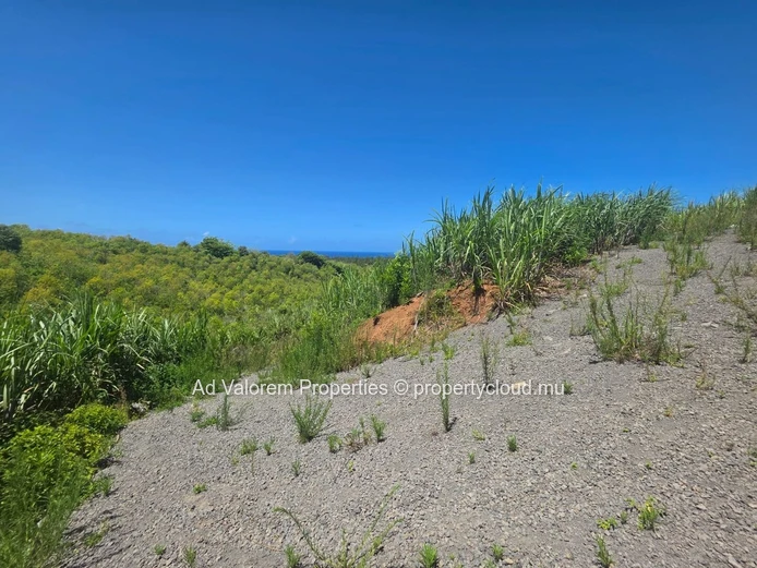 Grand Terrain Agricole à Vendre!