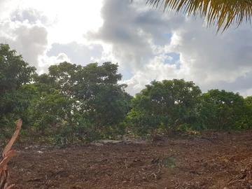 Terrain Agricole