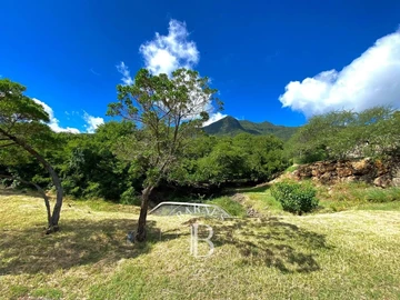 Commercial Land